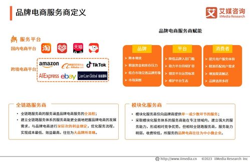 2023年中國品牌電商服務(wù)商行業(yè)研究報(bào)告——社會經(jīng)濟(jì)咨詢服務(wù)解析